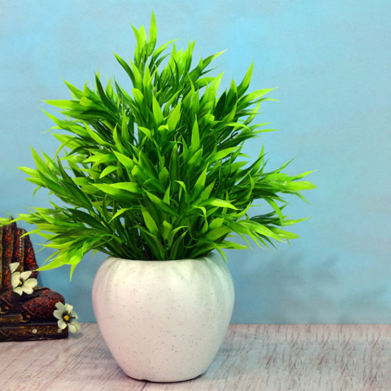 https://easyeleganz.com/vi/products/green-white-artificial-bamboo-leaves-in-apple-pot