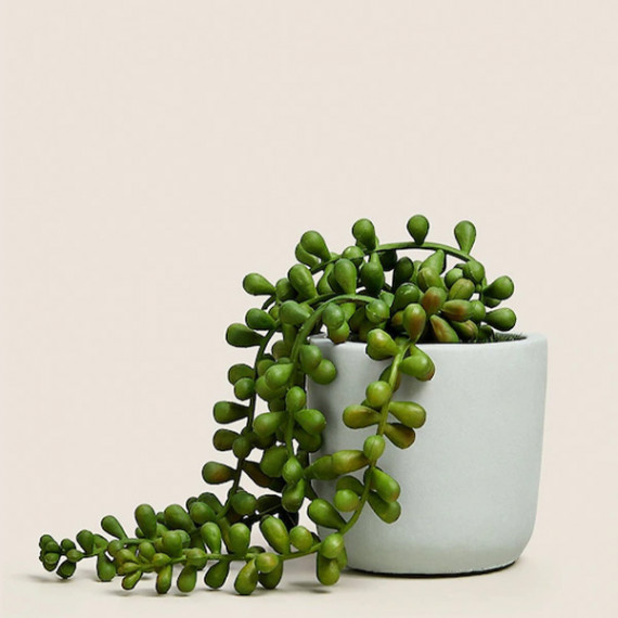 https://easyeleganz.com/products/green-artificial-plant-with-pot