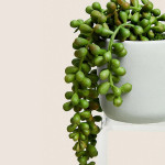 Green Artificial Plant With Pot